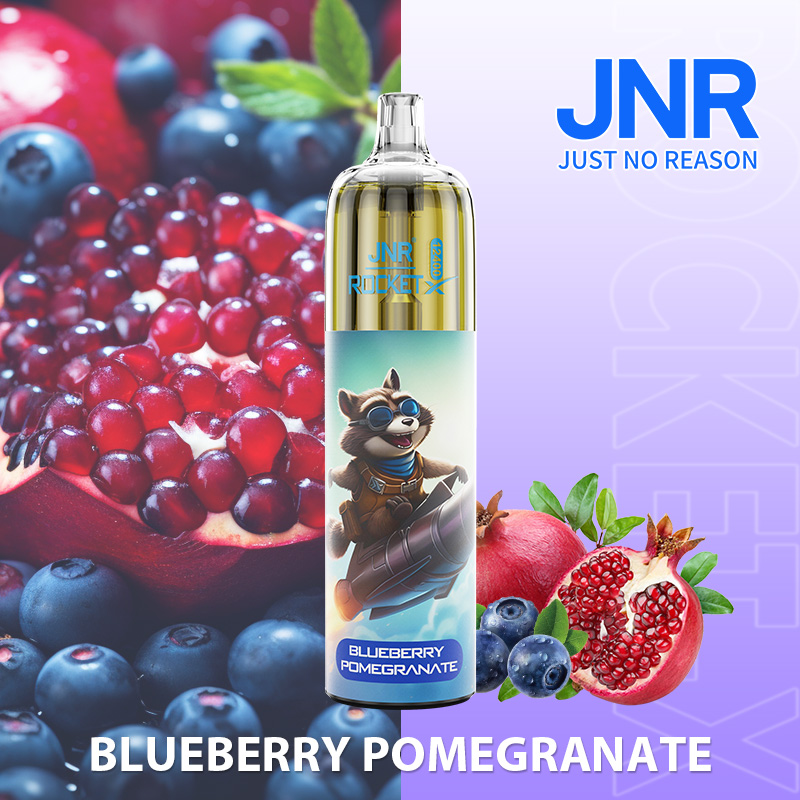 10-Blueberry-Pomegranate